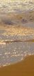 لا يوجد صوره