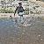 لا يوجد صوره